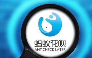 爆料花呗网红视频大全,揭秘花呗网红背后的秘密与现象  第2张